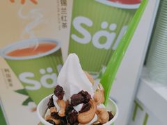 -Salud撒露欧洲冻酸奶(蓝色港湾店)