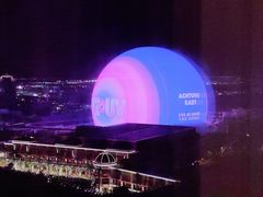 -拉斯维加斯永利酒店