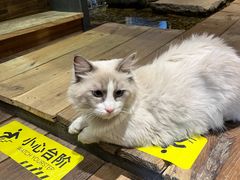 -邈墨茶馆(大兜路1号店)