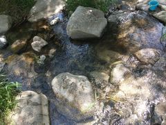 -碓臼峪自然风景区