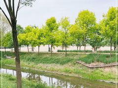 -东郊湿地公园
