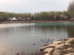 -吉林大学(前卫南区)