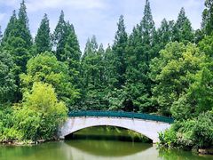 -东平国家森林公园