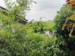 -二泉园老菜馆·百年无锡菜
