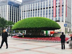 -南宁南湖公园