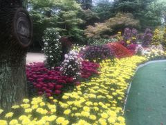 -上海市龙华烈士陵园