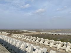 -南汇嘴观海公园