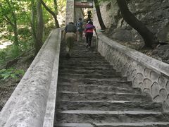-北京上方山国家森林公园