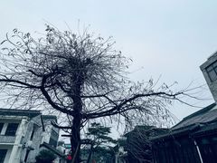-浏河古镇