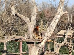 -济南野生动物世界