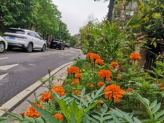 -美的鹭湖探索王国