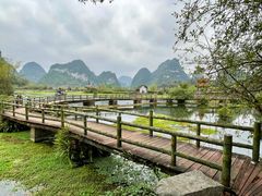 -靖西鹅泉风景区