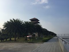 -大湾区中央湿地公园