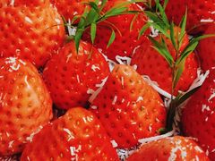 -Dark Horse·黑马蛋糕·低脂·低糖淡奶(金匙望湖大厦店)