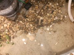 -小牛叔鲜切牛肉·火锅·烤肉自助(公济桥路店)