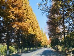 -塔川景区
