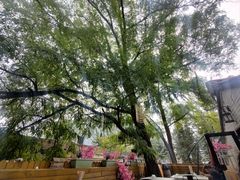 -老北京私房菜(798店)