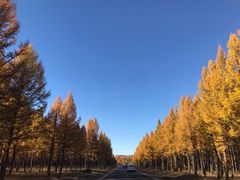 -塞罕坝国家级自然保护区