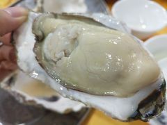 桑拿蚝-蚝专家(北滘店)
