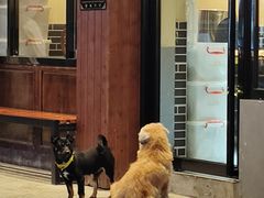 -嘎嘎鸭下巴·爆辣干锅(明教寺店)