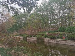 -元大都城垣遗址公园