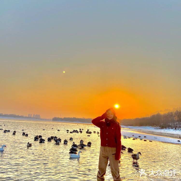 沈阳鸟岛｜🈚️门票🎫下面👇详细位置