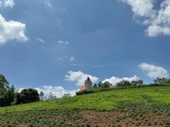 -黄龙溪欢乐田园