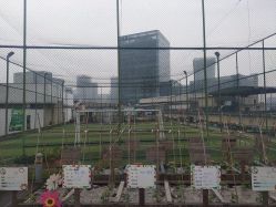 -梦田都市农场(银泰城店)
