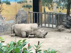 -西安秦岭野生动物园