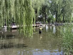 -玲珑塔公园