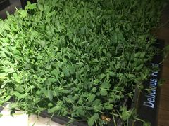 -九鼎轩脆毛肚火锅(商业街店)