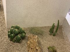 -OUR Bakery(SKP-S店)