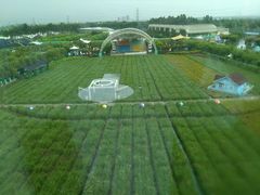 -广州花之恋城堡酒店