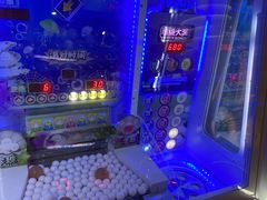 -大鲁阁保龄球(苏州园区店)