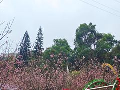 -求水山公园