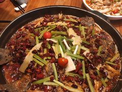 -老板恋上鱼(环山路店)