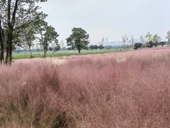 -汉长安城未央宫国家考古遗址公园