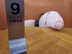 -WHEN PIGS FLY当猪飞