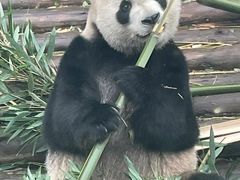 -黔灵山公园
