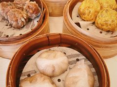 -美心皇宫(沙田大会堂店)