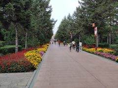 -长春市南湖公园