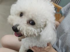 -佳雯宠物医院·皮肤科·内外科(春晓路分院)