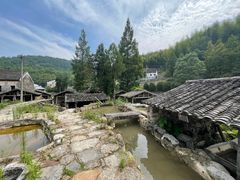 -MOJ coffee(瓯海泽雅水碓坑店)