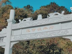 -羚羊峡古栈道森林公园