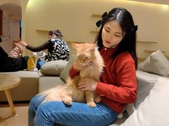 -猫腻·猫咖·撸猫馆(星光大道店)