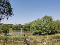 -野鸭湖国家湿地公园