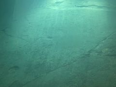 -白鹤梁水下博物馆