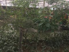 -世界地热博览园