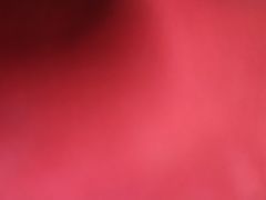 -金北顺大锅家(신사본점)