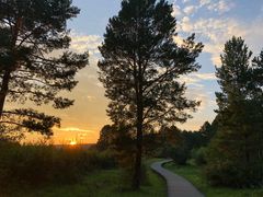 -北极村旅游风景区